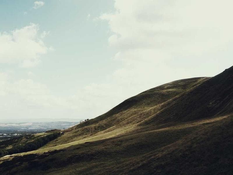 Plan de Manejo Forestal Sostenible